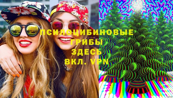 скорость Алзамай