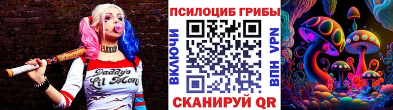 дарнет шоп  Вологда  MEGA ссылка  Псилоцибиновые грибы MAGIC MUSHROOMS 