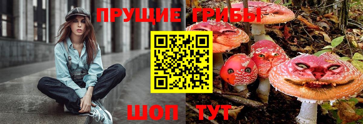 Псилоцибиновые грибы Cubensis  Вход с VPN  Вологда 